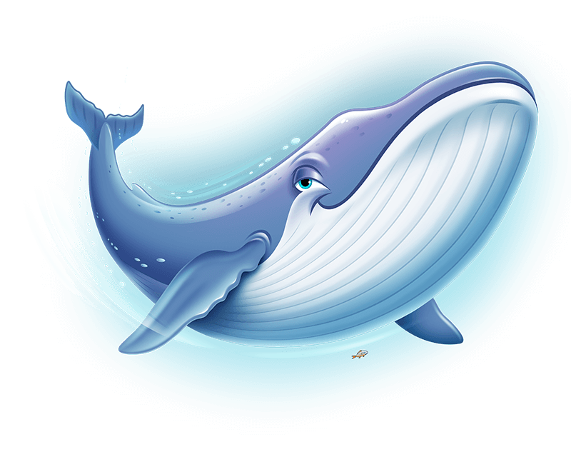 Blue-Whale_Hydro